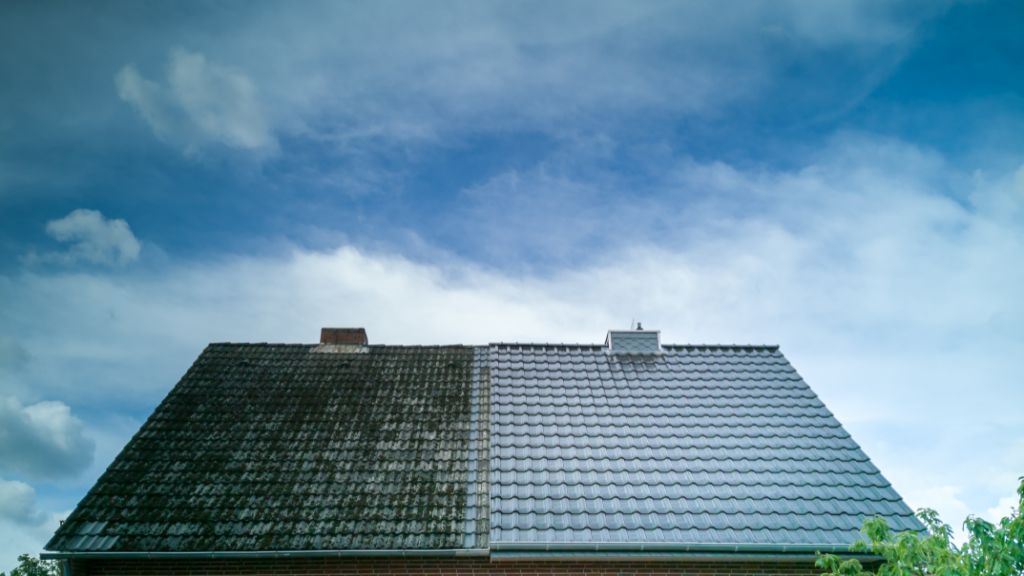 Roof Inspection
